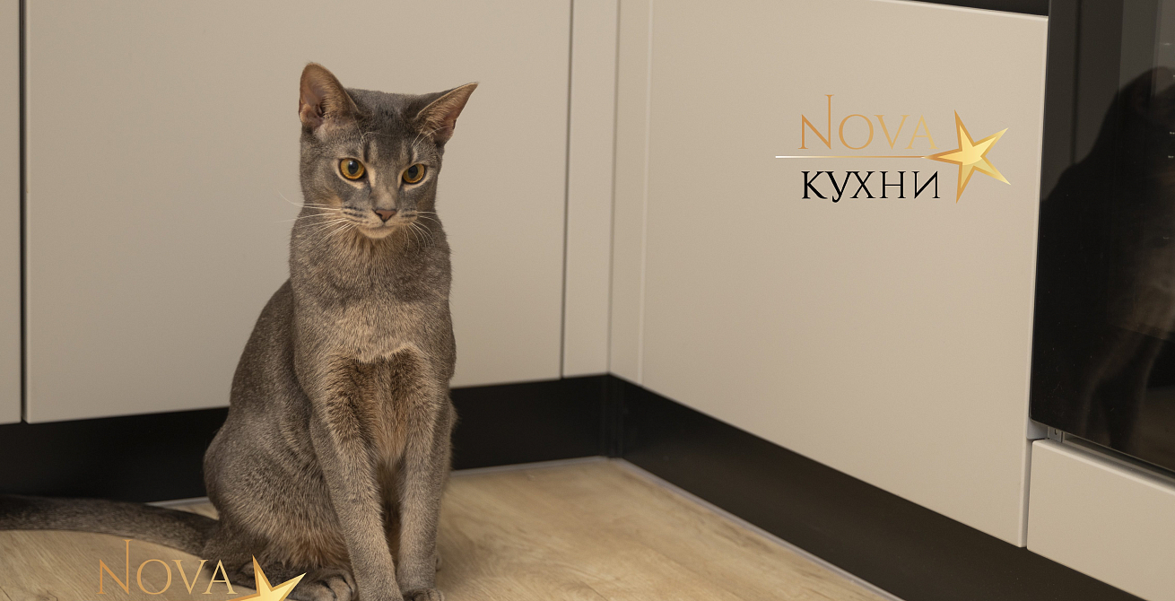 кухня Альба от Nova кухни - 16